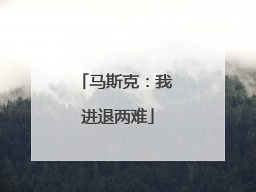 马斯克：我进退两难