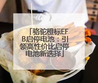 骆驼橙标EFB启停电池：引领高性价比启停电池新选择