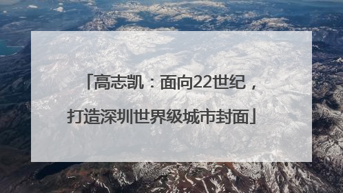 高志凯：面向22世纪，打造深圳世界级城市封面