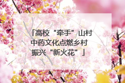 高校“牵手”山村 中药文化点燃乡村振兴“新火花”