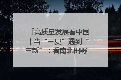 高质量发展看中国｜当“三夏”遇到“三新”：看南北田野里的科技共生记