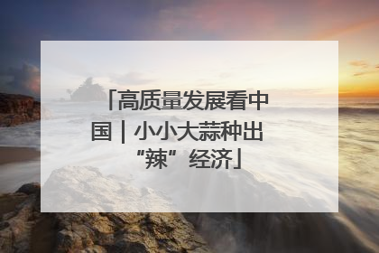 高质量发展看中国｜小小大蒜种出“辣”经济