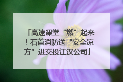 高速课堂“燃”起来！石首消防送“安全凉方”进交投江汉公司