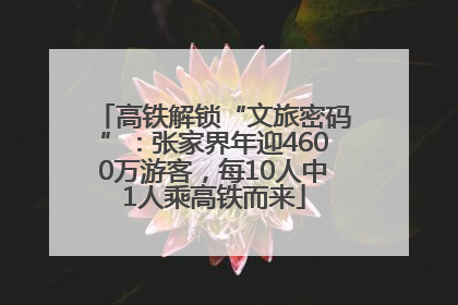 高铁解锁“文旅密码”：张家界年迎4600万游客，每10人中1人乘高铁而来