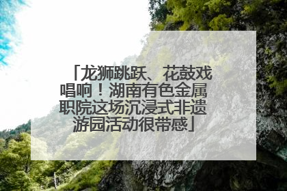 龙狮跳跃、花鼓戏唱响！湖南有色金属职院这场沉浸式非遗游园活动很带感