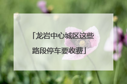 龙岩中心城区这些路段停车要收费