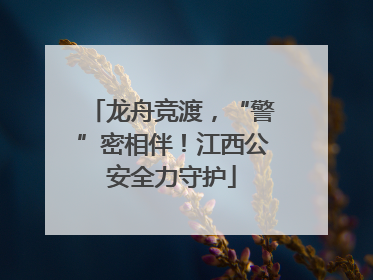 龙舟竞渡，“警”密相伴！江西公安全力守护