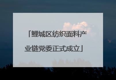 鲤城区纺织面料产业链党委正式成立