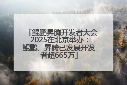 鲲鹏昇腾开发者大会2025在北京举办：鲲鹏、昇腾已发展开发者超665万