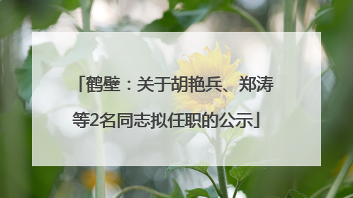 鹤壁：关于胡艳兵、郑涛等2名同志拟任职的公示