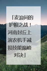 麦浪间的护粮之战！河南封丘上演农机手减损技能巅峰对决