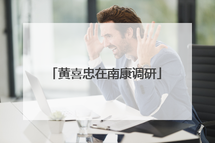 黄喜忠在南康调研