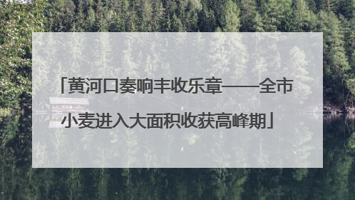 黄河口奏响丰收乐章——全市小麦进入大面积收获高峰期