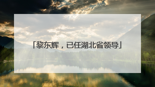 黎东辉，已任湖北省领导