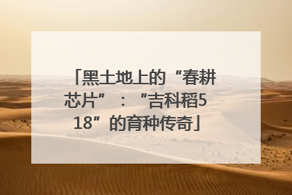 黑土地上的“春耕芯片”：“吉科稻518”的育种传奇