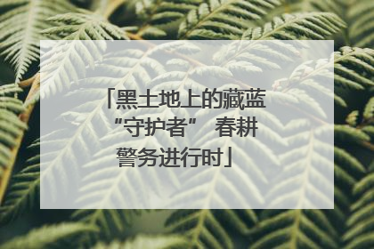 黑土地上的藏蓝“守护者” 春耕警务进行时