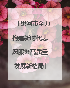 黑河市全力构建新时代志愿服务高质量发展新格局