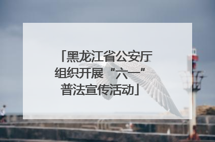 黑龙江省公安厅组织开展“六一”普法宣传活动