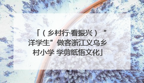 （乡村行·看振兴）“洋学生”做客浙江义乌乡村小学 学剪纸悟文化