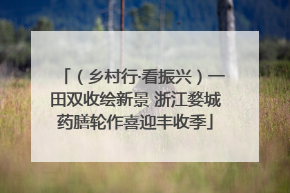 （乡村行·看振兴）一田双收绘新景 浙江婺城药膳轮作喜迎丰收季