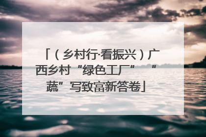 （乡村行·看振兴）广西乡村“绿色工厂” “蔬”写致富新答卷
