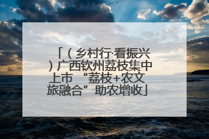 （乡村行·看振兴）广西钦州荔枝集中上市 “荔枝+农文旅融合”助农增收