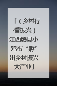（乡村行·看振兴）江西赣县小鸡蛋“孵”出乡村振兴大产业