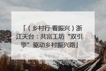（乡村行·看振兴）浙江天台：共富工坊“双引擎”驱动乡村振兴路