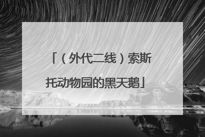（外代二线）索斯托动物园的黑天鹅