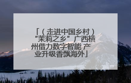 （走进中国乡村）“茉莉之乡”广西横州借力数字智能 产业升级香飘海外