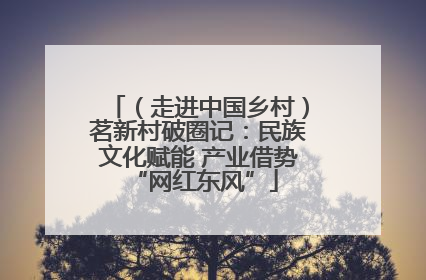 （走进中国乡村）茗新村破圈记：民族文化赋能 产业借势 “网红东风”