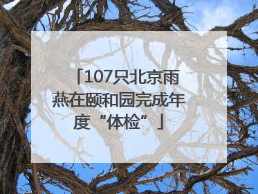 107只北京雨燕在颐和园完成年度“体检”