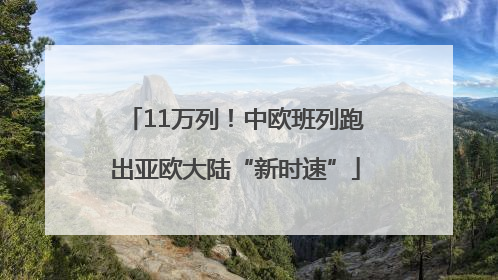 11万列！中欧班列跑出亚欧大陆“新时速”