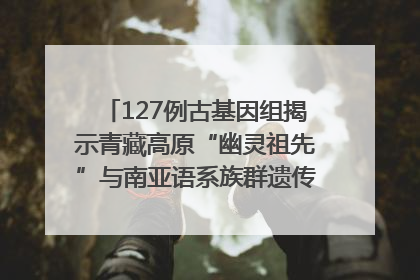 127例古基因组揭示青藏高原“幽灵祖先”与南亚语系族群遗传起源｜封面科考队