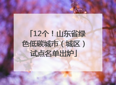 12个！山东省绿色低碳城市（城区）试点名单出炉
