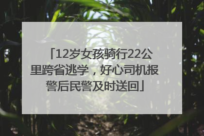 12岁女孩骑行22公里跨省逃学，好心司机报警后民警及时送回