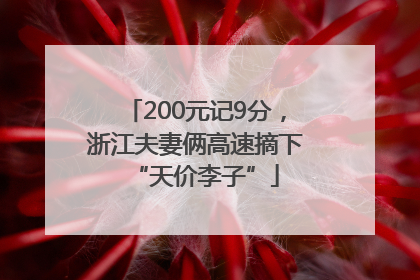 200元记9分，浙江夫妻俩高速摘下“天价李子”