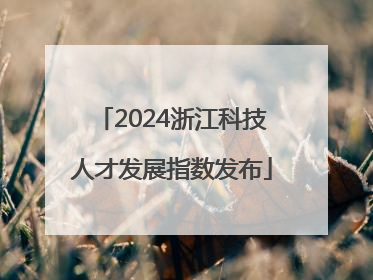 2024浙江科技人才发展指数发布