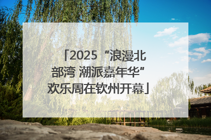 2025“浪漫北部湾 潮派嘉年华”欢乐周在钦州开幕