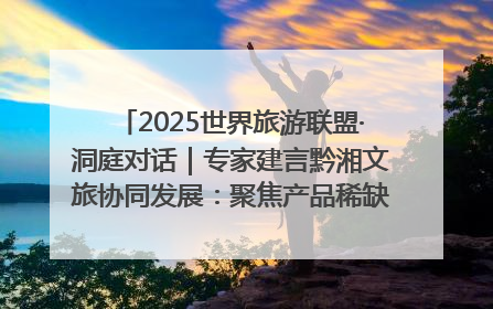 2025世界旅游联盟·洞庭对话｜专家建言黔湘文旅协同发展：聚焦产品稀缺性 深化区域经验共享