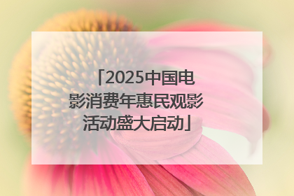 2025中国电影消费年惠民观影活动盛大启动