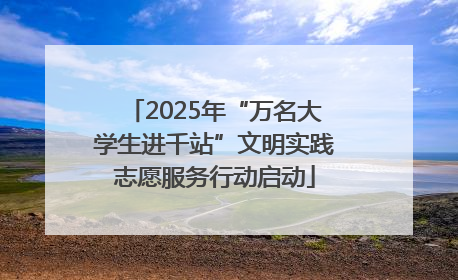 2025年“万名大学生进千站”文明实践志愿服务行动启动