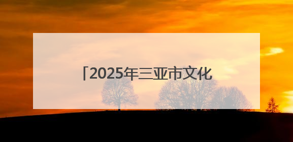 2025年三亚市文化惠民演出系列活动启动，露营音乐会浪漫开场
