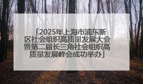 2025年上海市浦东新区社会组织高质量发展大会暨第二届长三角社会组织高质量发展峰会成功举办