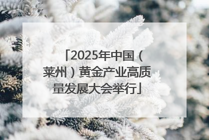2025年中国（莱州）黄金产业高质量发展大会举行