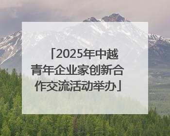 2025年中越青年企业家创新合作交流活动举办