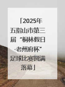 2025年五指山市第三届“桐林假日·老州府杯”足球比赛圆满落幕