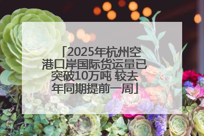 2025年杭州空港口岸国际货运量已突破10万吨 较去年同期提前一周