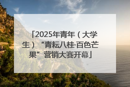2025年青年（大学生）“青耘八桂·百色芒果”营销大赛开幕