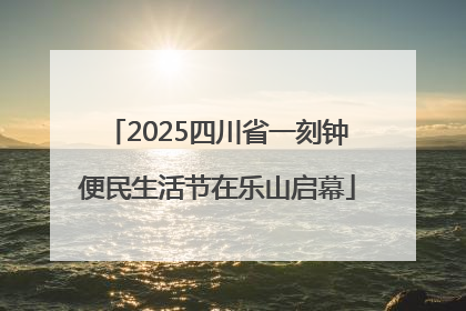 2025四川省一刻钟便民生活节在乐山启幕